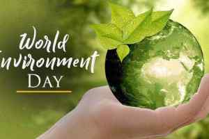 World environment day : पर्यावरण और बेपरवाह समाज