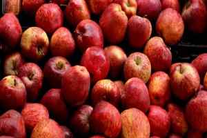 सेब किसानों के लिए आपदा में अवसर बनी निजी कंपनियां, ऊंचे दामों पर हो रही सेब खरीदी