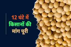 शिवराज सिंह चौहान ने किया था वादा, 12 घंटे में किसानों की मांग पूरी, सोयाबीन की खरीदी को लेकर की बड़ी घोषणा