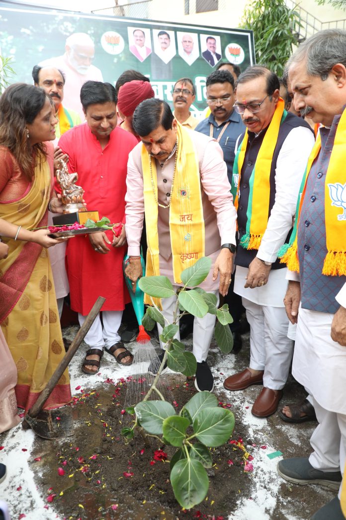 Gulmohar Colony Modi Man Ki Baat 696x1044