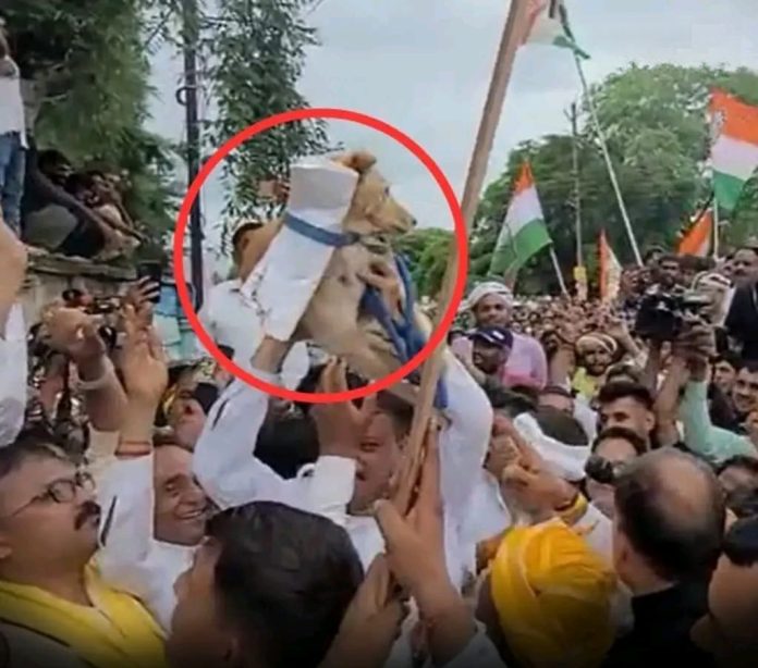 Chhindwara Farmers Protest 696x614