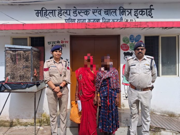 IMG 20250810 WA0523 696x522