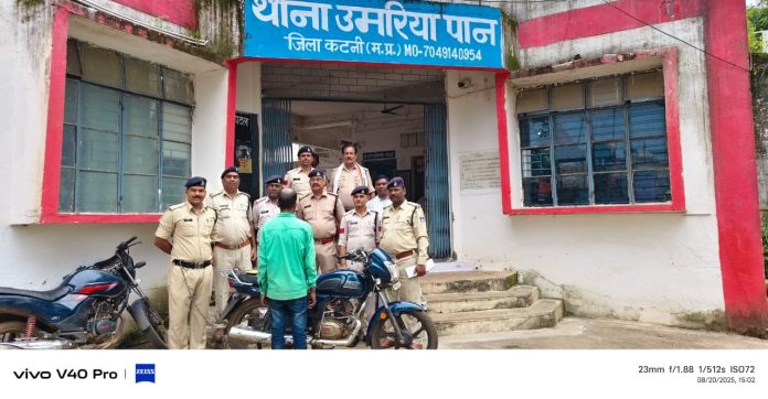 IMG 20250820 WA0834 696x362