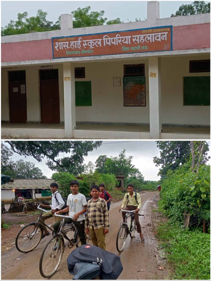 IMG 20250810 153614 696x929