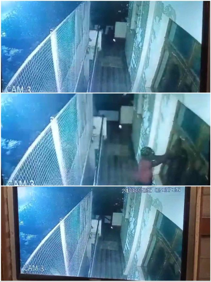 IMG 20250824 160636 696x929