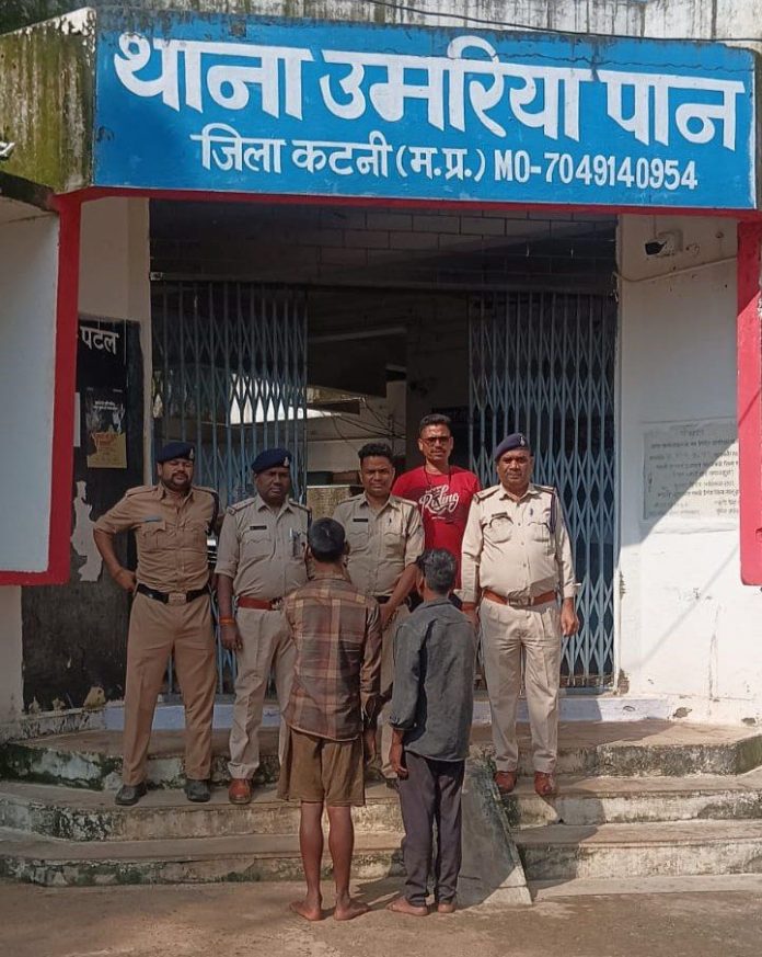 IMG 20250827 190722 936 696x873