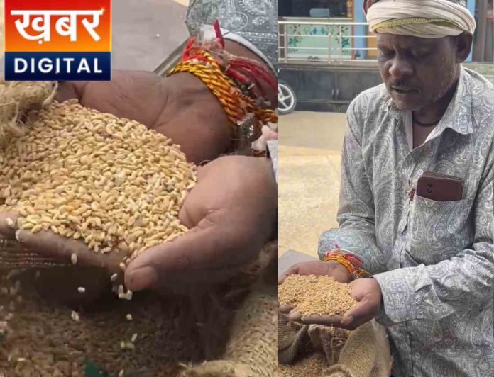 Gravel Found In Ration Angers Villagers Say %E2%80%93 Even Animals Wouldnt Eat Such Wheat 696x532