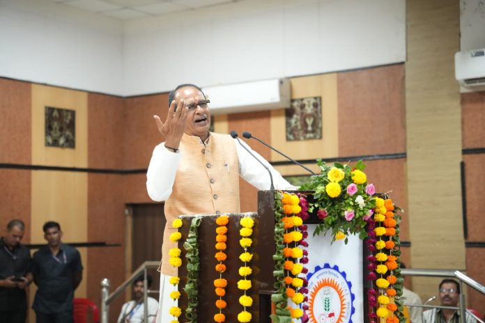 IMG 20250922 WA0045 696x464