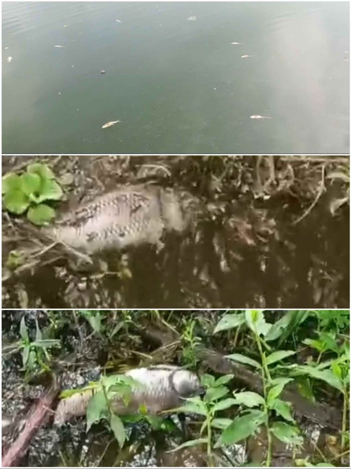 IMG 20250915 185820 696x929