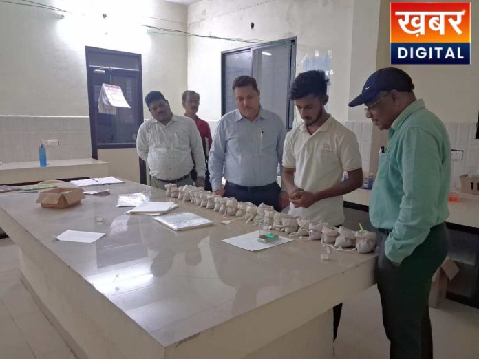 The District Panchayat CEO Inspected Two Panchayats 696x522