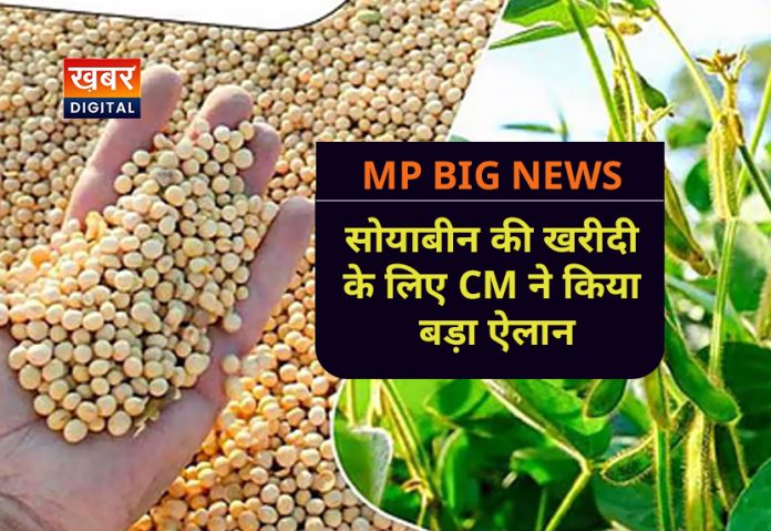 mp soyabean msp rate 2025 Latest news