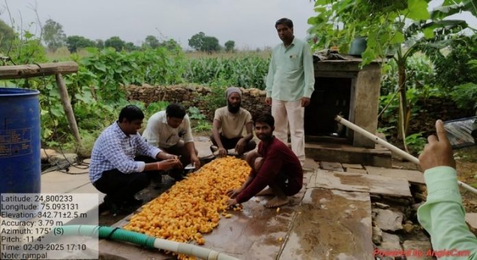 IMG 20251003 WA0018 696x380