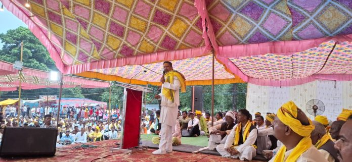 IMG 20251006 WA03582 696x321