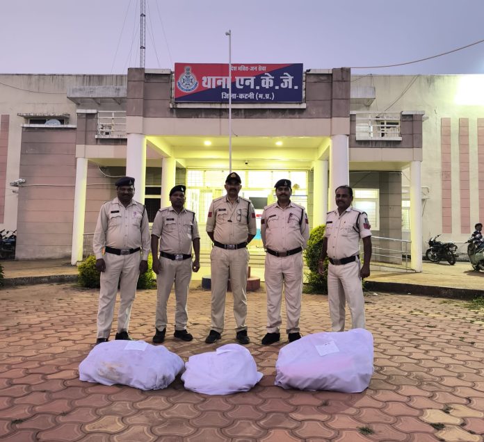 IMG 20251015 WA07281 696x636