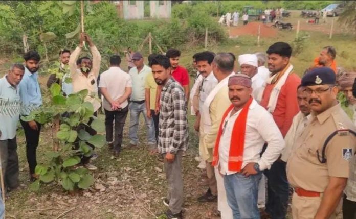 IMG 20251016 WA0037 696x429