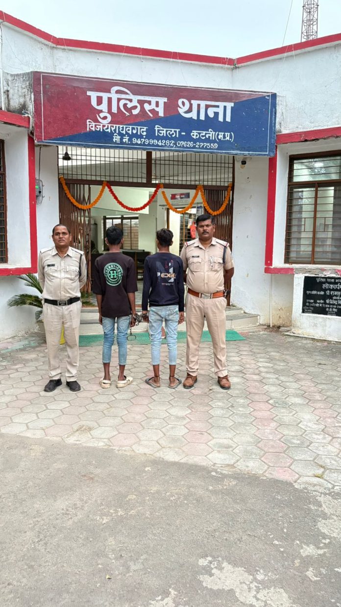 IMG 20251027 WA0221 696x1237