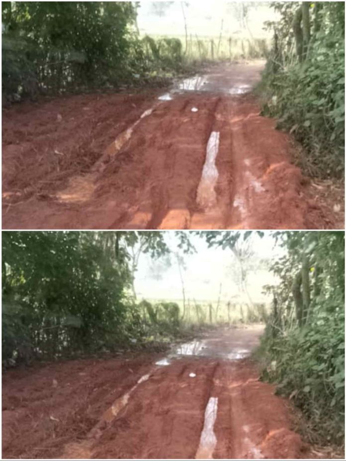 IMG 20251009 150709 696x929