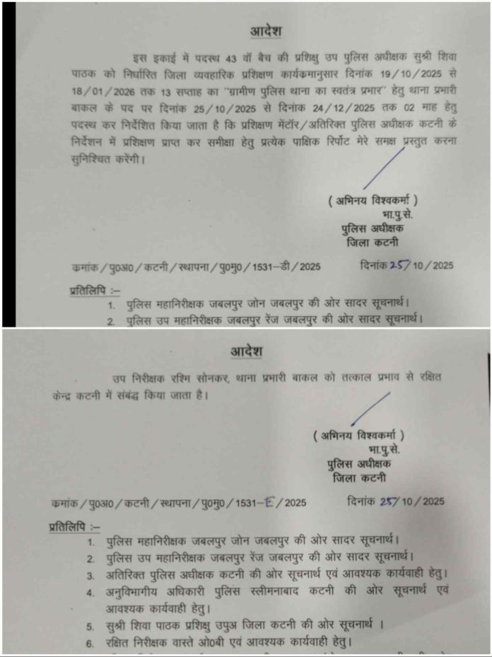 IMG 20251025 202613 696x929