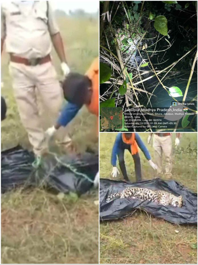 IMG 20251026 105151 696x929