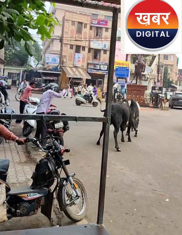 IMG 20251027 133042 696x898