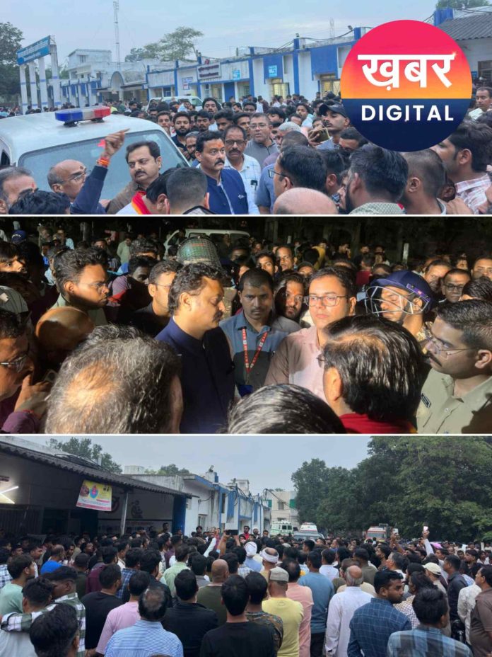 IMG 20251028 201957 696x928