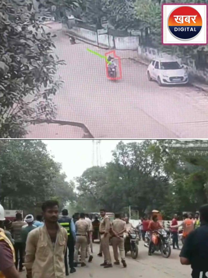 InShot 20251028 135815111 696x928