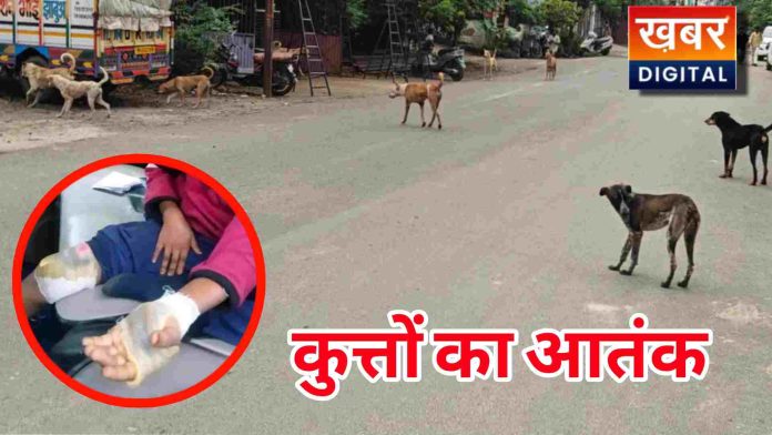 %E0%A4%95%E0%A4%B2%E0%A5%87%E0%A4%95%E0%A5%8D%E0%A4%9F%E0%A5%8D%E0%A4%B0%E0%A5%87%E0%A4%9F %E0%A4%B8%E0%A5%87 %E0%A4%B2%E0%A5%87%E0%A4%95%E0%A4%B0 %E0%A4%9C%E0%A4%BF%E0%A4%B2%E0%A4%BE %E0%A4%85%E0%A4%B8%E0%A5%8D%E0%A4%AA%E0%A4%A4%E0%A4%BE%E0%A4%B2 %E0%A4%AA%E0%A4%B0%E0%A4%BF%E0%A4%B8%E0%A4%B0 %E0%A4%A4%E0%A4%95 %E0%A4%AC%E0%A5%87%E0%A4%96%E0%A5%8C%E0%A4%AB %E0%A4%98%E0%A5%82%E0%A4%AE%E0%A4%A4%E0%A5%87 %E0%A4%A8%E0%A4%9C%E0%A4%BC%E0%A4%B0 %E0%A4%86 %E0%A4%B0%E0%A4%B9%E0%A5%87 %E0%A4%95%E0%A5%81%E0%A4%A4%E0%A5%8D%E0%A4%A4%E0%A5%87 696x392