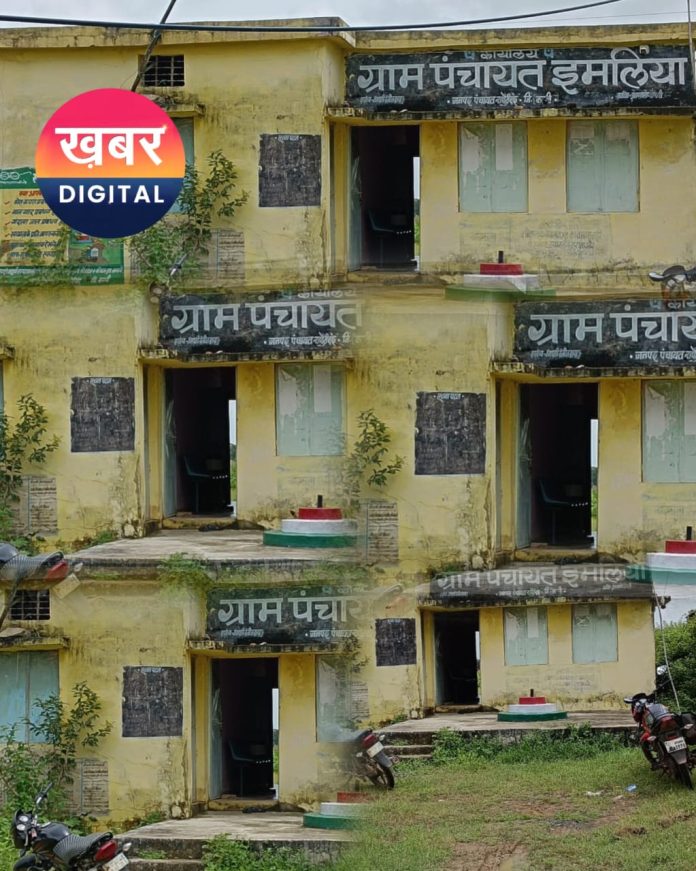 IMG 20251105 WA0574 696x871