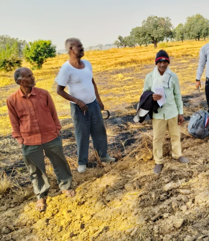 IMG 20251114 WA09011 696x805