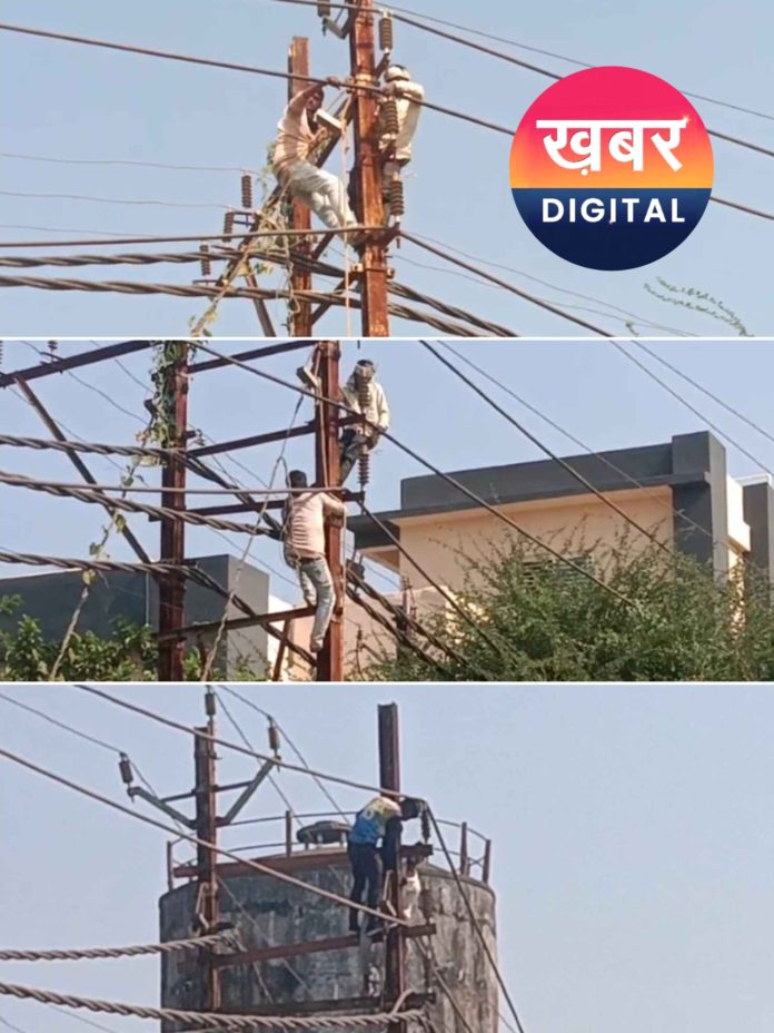 InShot 20251109 185331012 696x928