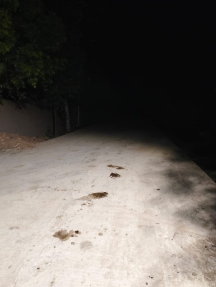 IMG 20251212 WA0012 696x925