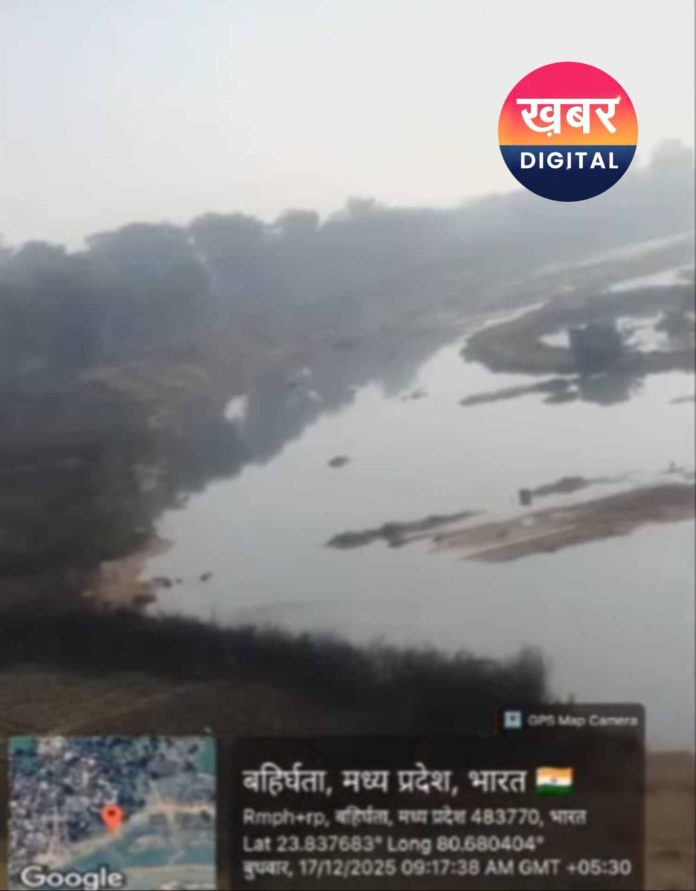 IMG 20251221 122120 696x891