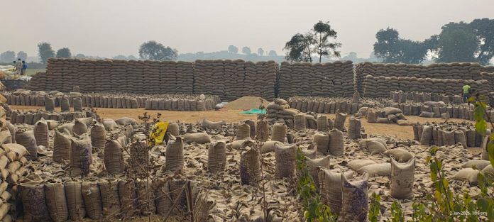 IMG 20260102 WA0334 696x313