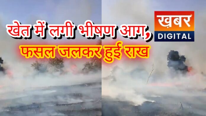 IMG 20260117 WA0043 696x392