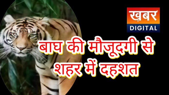 IMG 20260118 WA0044 696x392