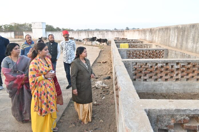 IMG 20260123 WA0007 696x464