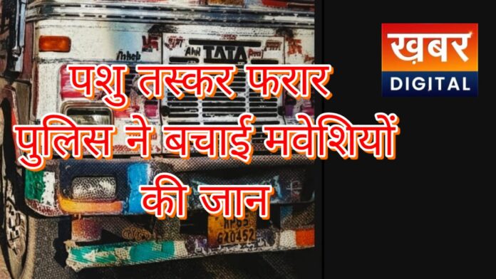 IMG 20260123 WA0011 1 696x392