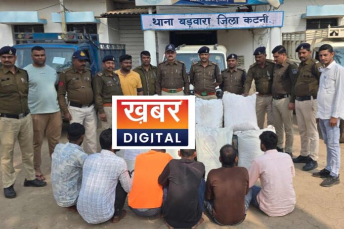 IMG 20260119 204912 696x464