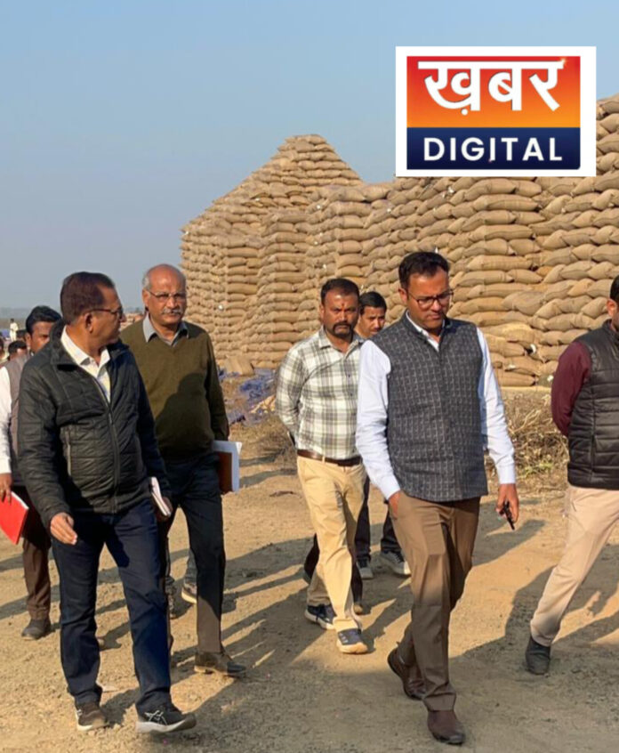 InShot 20260115 225635822 696x846