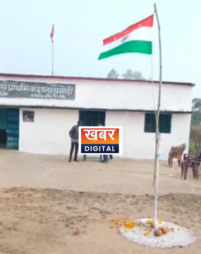 InShot 20260130 203336515 696x880