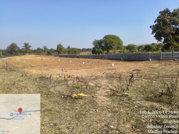 IMG 20260225 WA0001 1 696x522