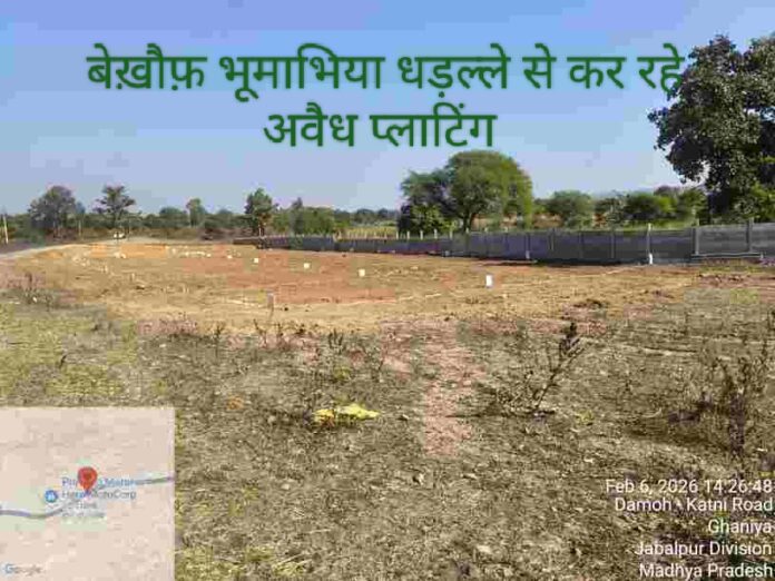 IMG 20260228 185517 696x522