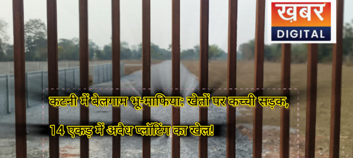 InShot 20260220 200733925 696x313