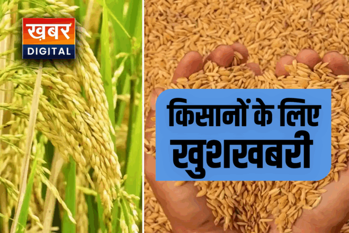 kisan good news dhan msp rate 2026