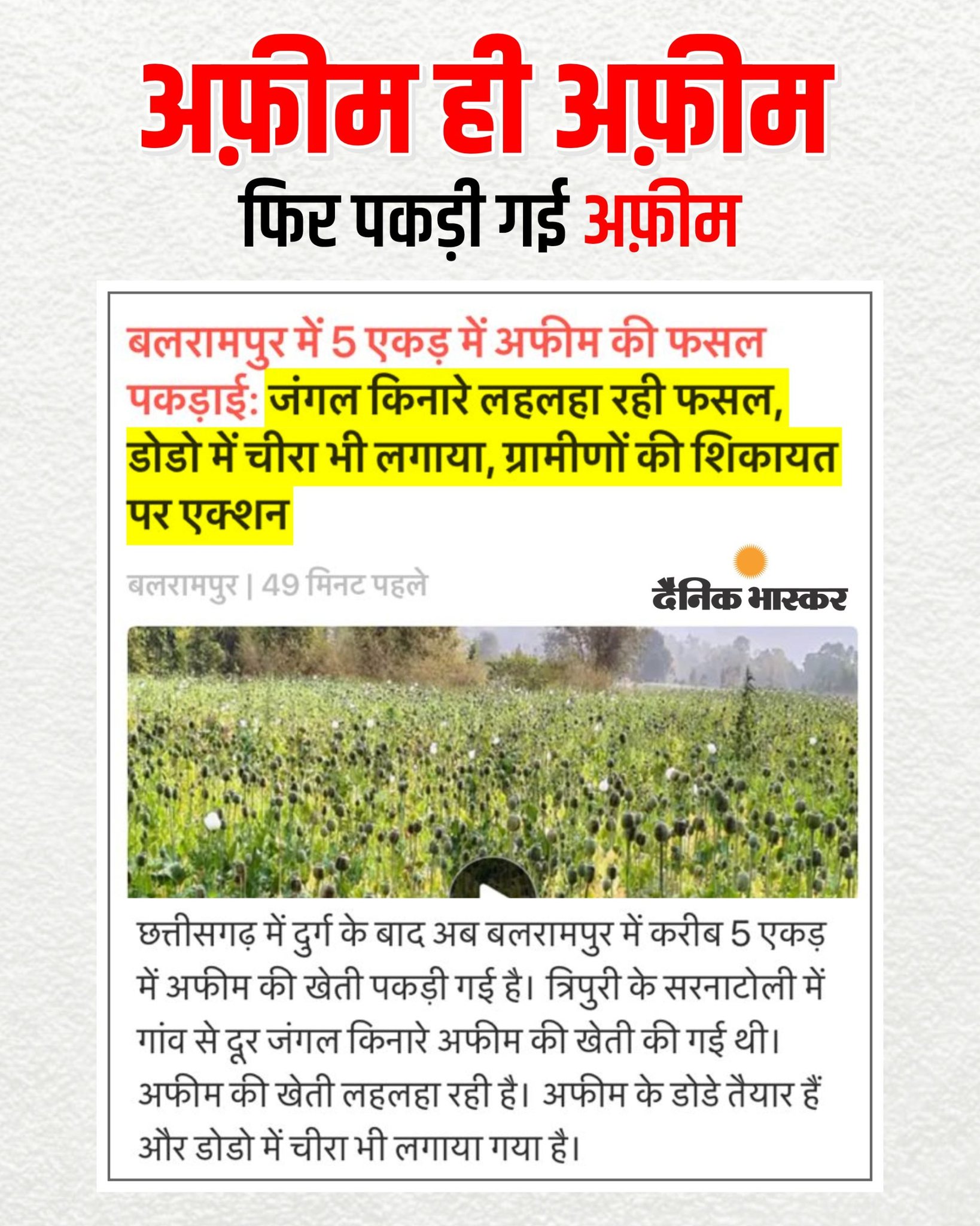 649173219 1485898316226204 2902029290256273181 N