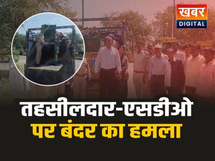 Badnawar Monkey Attacks 696x522