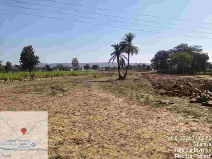 IMG 20260310 WA0001 2 696x522