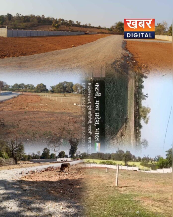 IMG 20260316 122054 696x872