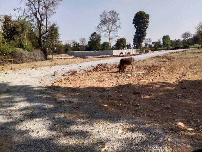 IMG 20260318 004239 696x522