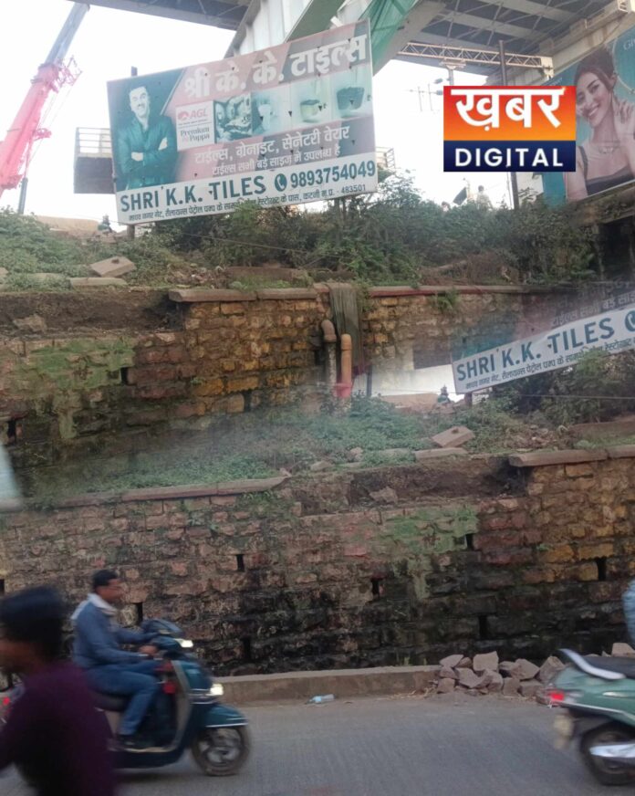 IMG 20260318 010209 696x872